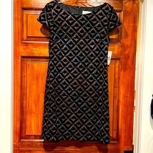 Jessica H Size 14 Black Velvet Dress